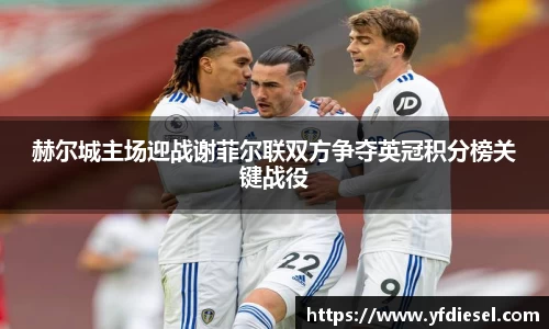 赫尔城主场迎战谢菲尔联双方争夺英冠积分榜关键战役